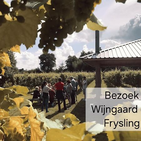 Familychalet De Schaapskooi, 6-Persons, Big Private Garden, Dogs Aloud Westergeest Eksteriør bilde